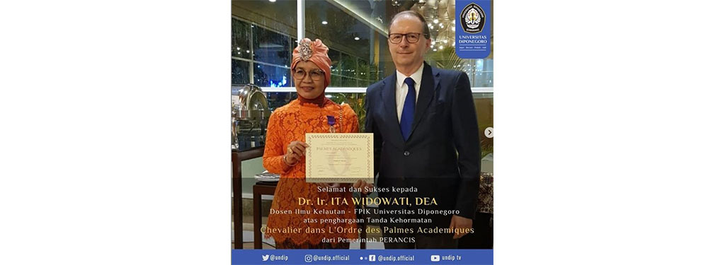 Award from the French Government