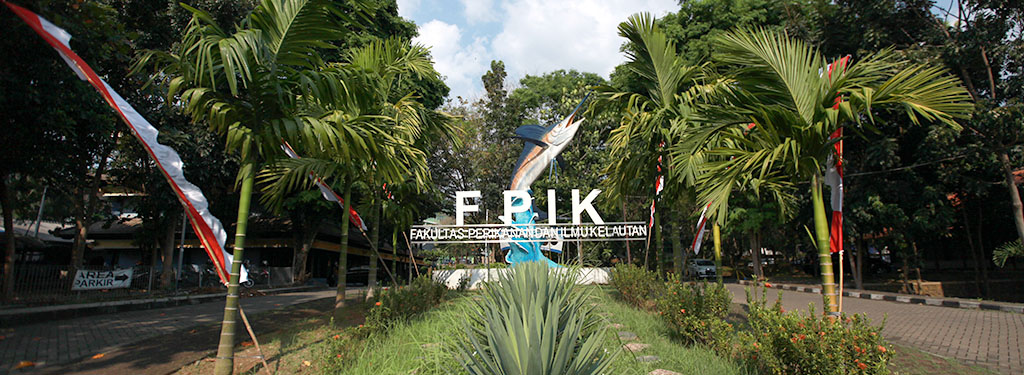 Four Doctor of Marine Science UNDIP Received Perfect GPA