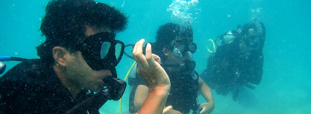 FPIK UNDIP Promotes Expertise Diving Certification in Karimunjawa
