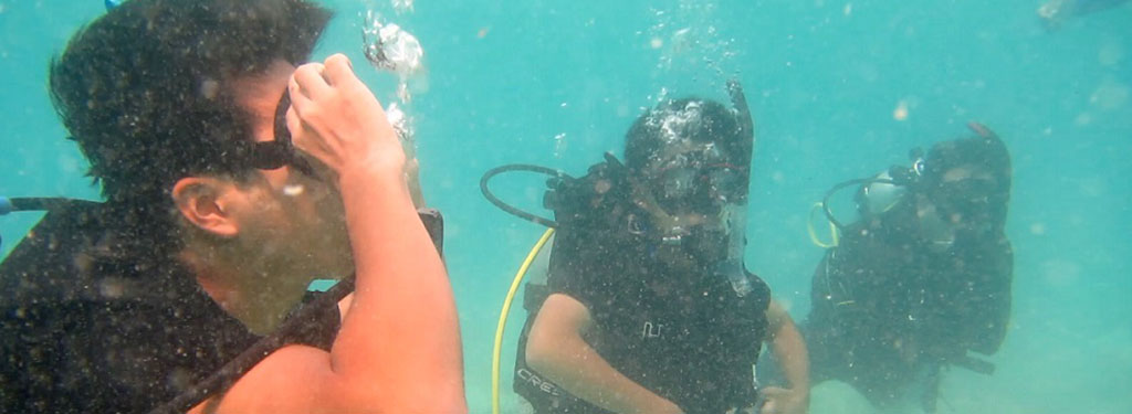 Benefits of Diving Skills and Job Opportunities at the Faculty of Fisheries and Marine Sciences UNDIP