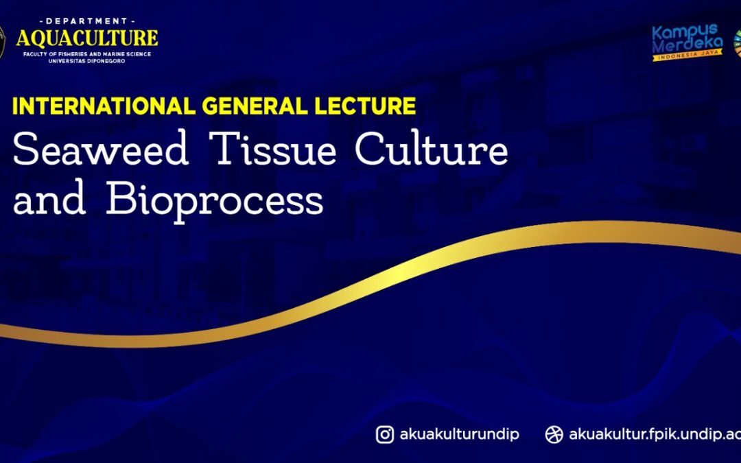 Seaweed Tissue Culture and Bioprocess